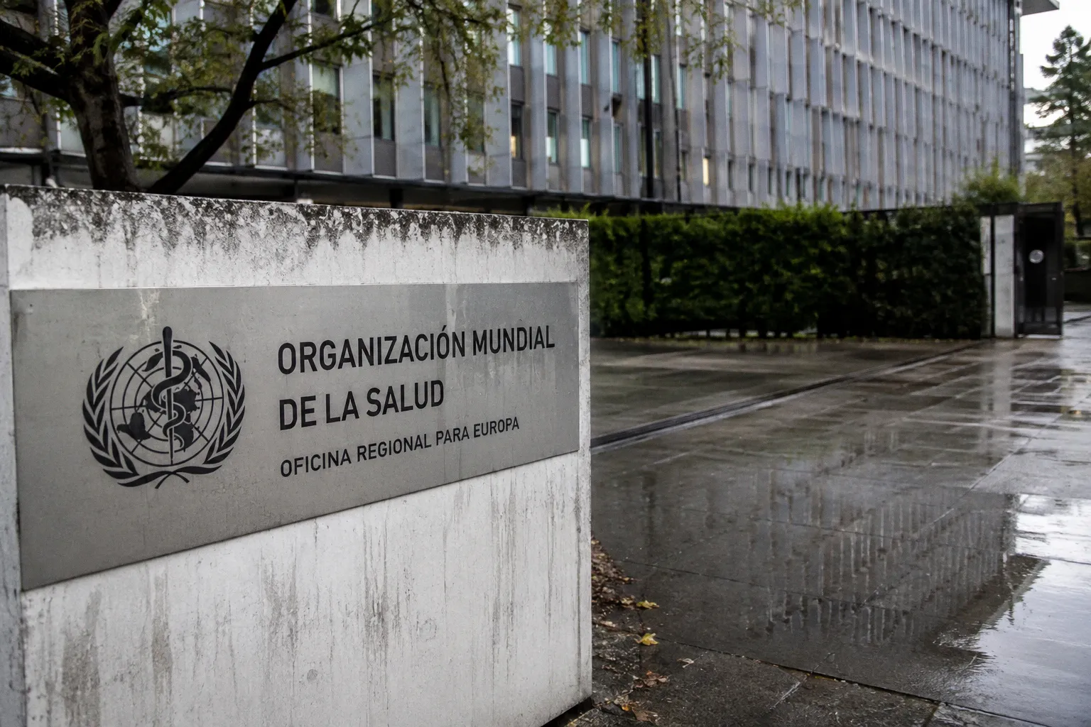 La OMS prioriza la gobernanza institucional sobre la velocidad técnica en la IA sanitaria